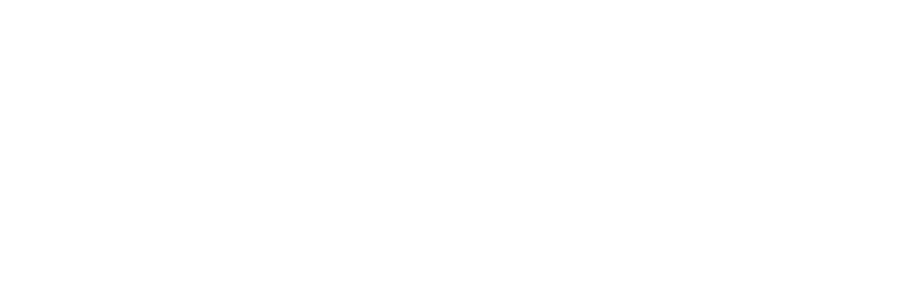 Lion Lense